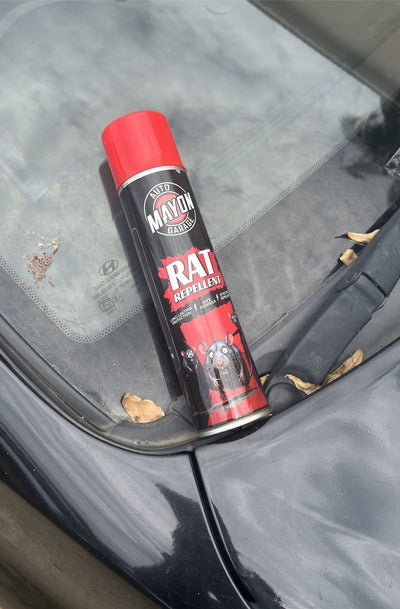 S. Vijay Kumar, Bangalore