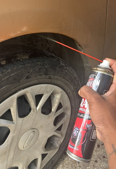 Dileep R, Coimbatore